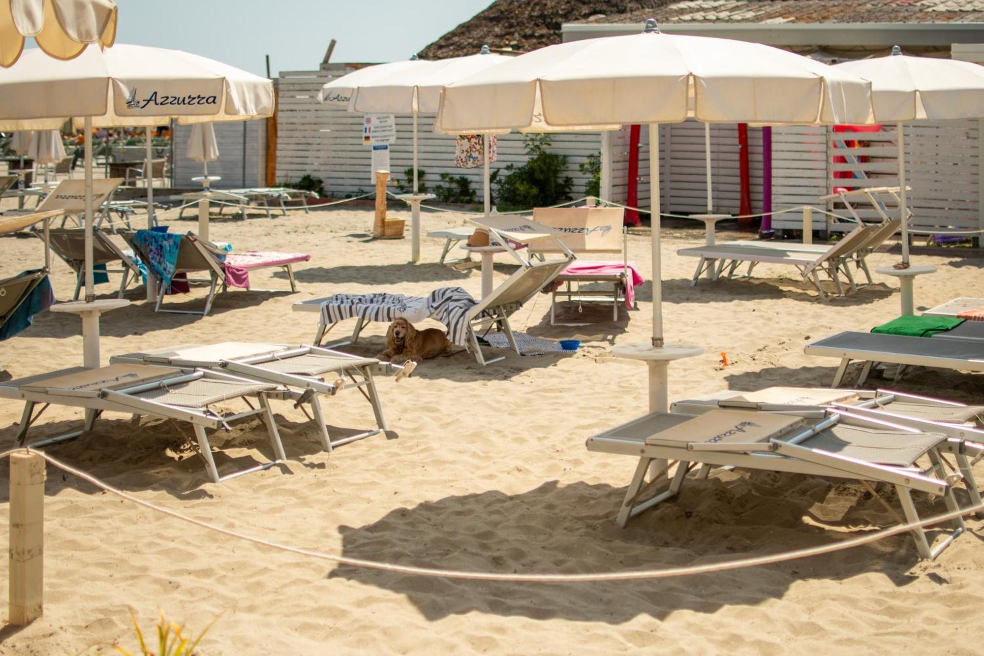 Hotel Negresco Milano Marittima Esterno foto